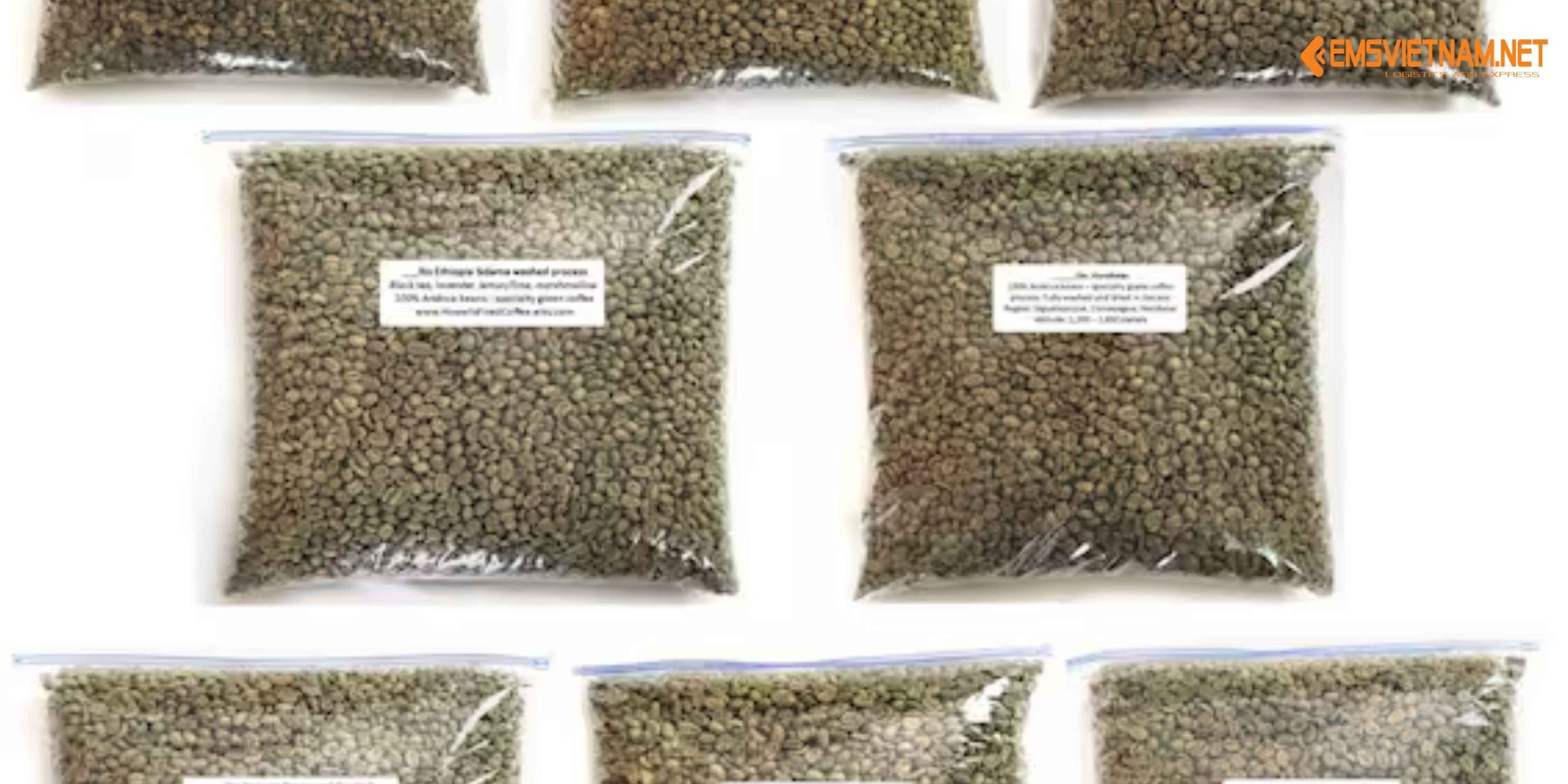 GỬI MẪU HẠT CÀ PHÊ SANG TRUNG QUỐC: HƯỚNG DẪN CHI TIẾT, DỄ HIỂU, DỄ THỰC HIỆN