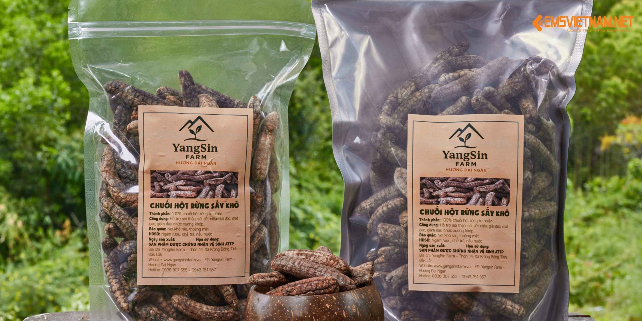 GỬI CHUỐI HỘT KHÔ TỪ VIỆT NAM SANG MỸ – NHỮNG ĐIỀU CẦN BIẾT ĐỂ SẢN PHẨM ĐẾN NƠI AN TOÀN