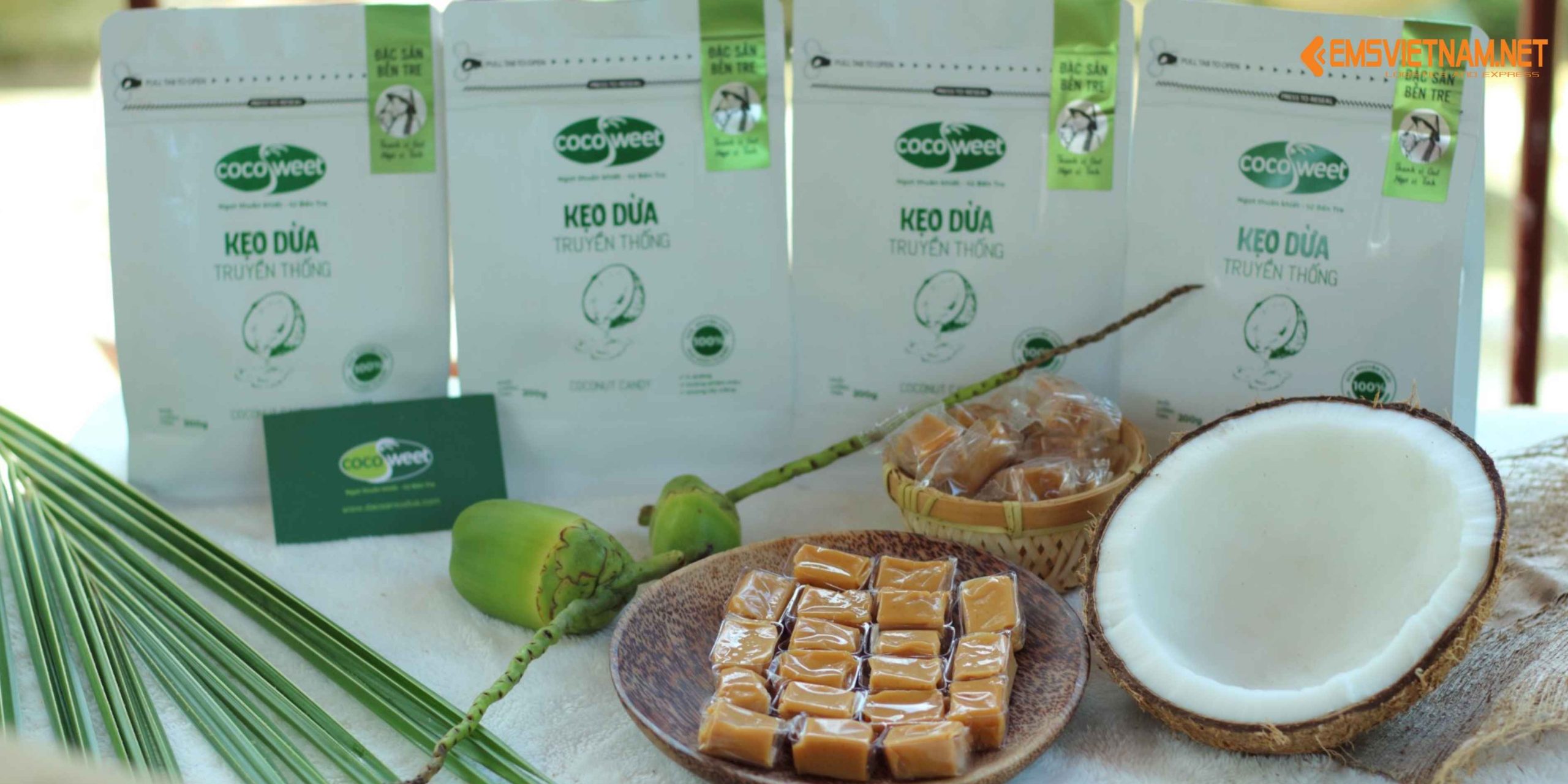 XUẤT KHẨU KẸO DỪA BẾN TRE TỪ VIỆT NAM SANG MỸ: CƠ HỘI, TIÊU CHUẨN VÀ KINH NGHIỆM CẦN BIẾT