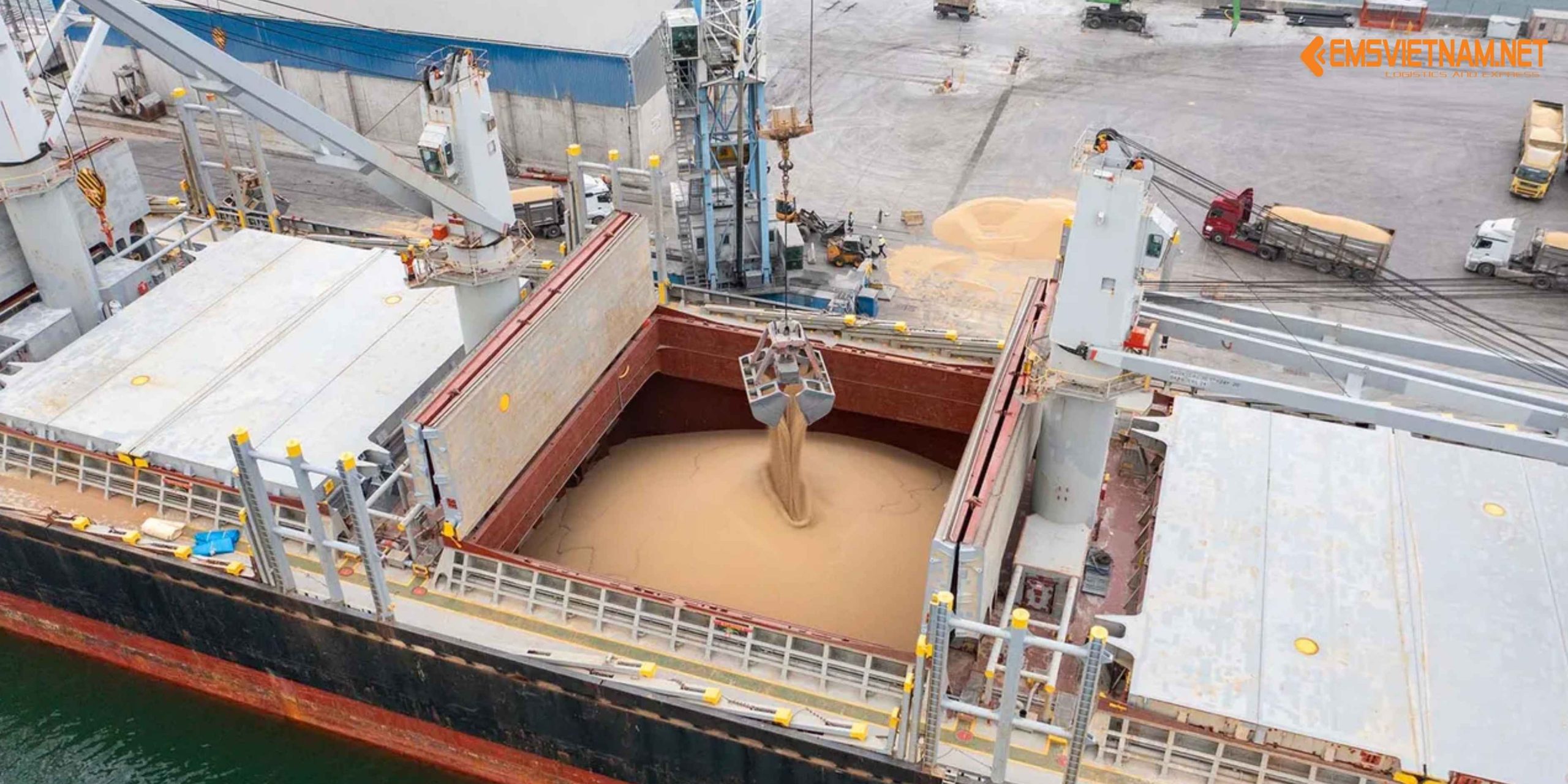 XUẤT KHẨU HẠT BẮP KHÔ TỪ VIỆT NAM SANG MỸ: QUY TRÌNH, TIÊU CHUẨN VÀ LƯU Ý