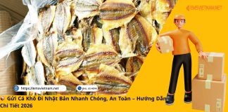 Gửi Cá Khô Đi Nhật Bản Nhanh Chóng, An Toàn – Hướng Dẫn Chi Tiết 2026 📦 Gửi Cá Khô Đi Nhật Bản Nhanh Chóng, An Toàn – Hướng Dẫn Chi Tiết 2026