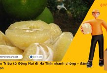 Gửi bưởi Tân Triều từ Đồng Nai đi Hà Tĩnh nhanh chóng – đảm bảo tươi ngon 🍊🚚 Gửi bưởi Tân Triều từ Đồng Nai đi Hà Tĩnh nhanh chóng – đảm bảo tươi ngon 🍊🚚
