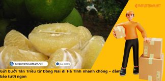 Gửi bưởi Tân Triều từ Đồng Nai đi Hà Tĩnh nhanh chóng – đảm bảo tươi ngon 🍊🚚 Gửi bưởi Tân Triều từ Đồng Nai đi Hà Tĩnh nhanh chóng – đảm bảo tươi ngon 🍊🚚