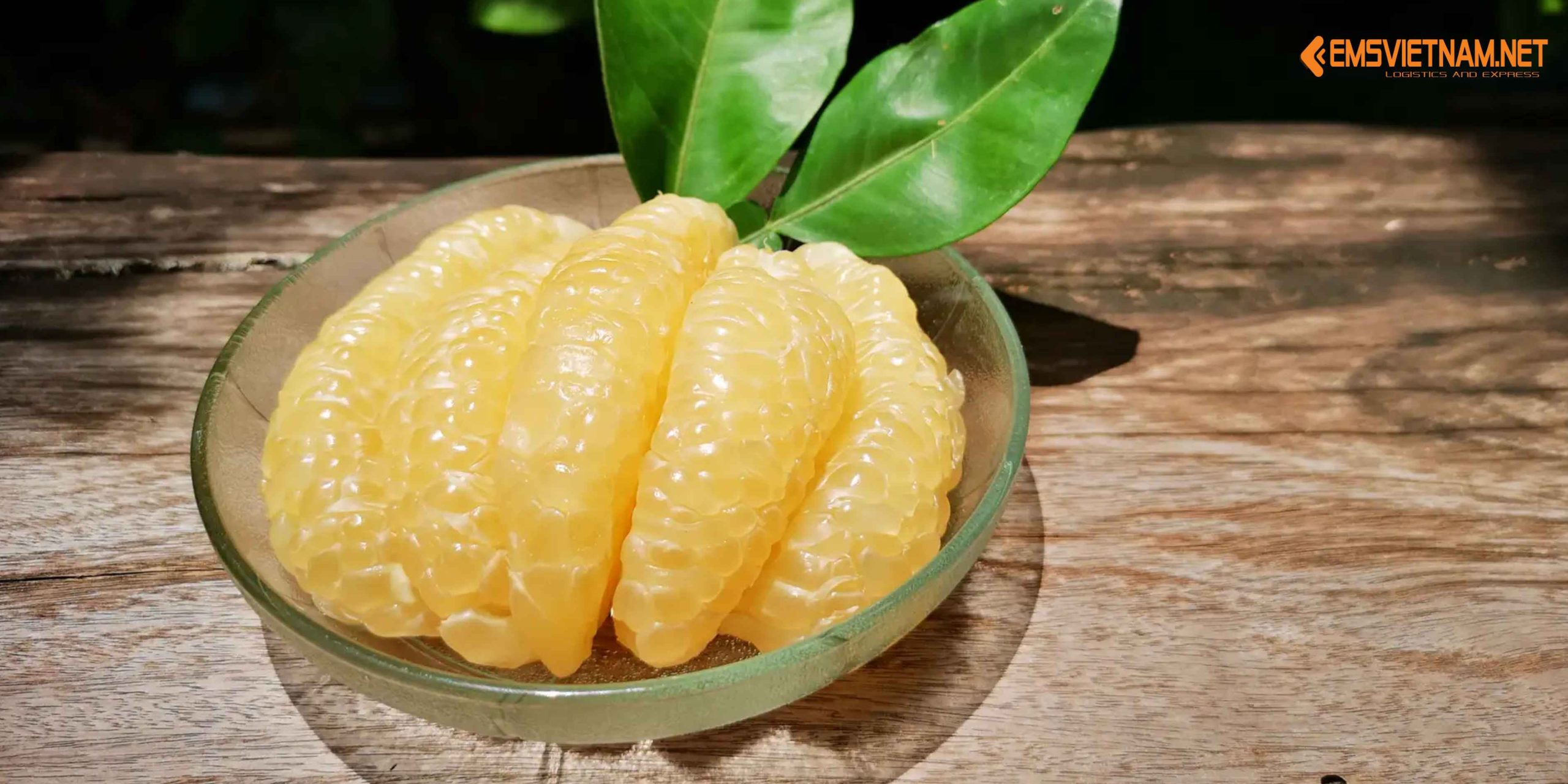 Gửi bưởi Tân Triều từ Đồng Nai đi Hà Tĩnh nhanh chóng – đảm bảo tươi ngon 🍊🚚