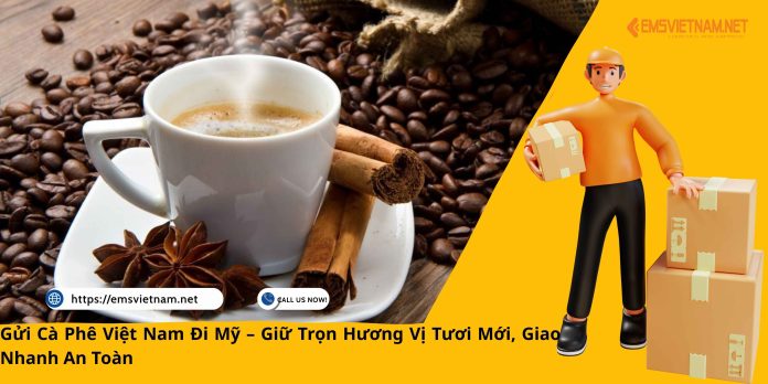 Gửi Cà Phê Việt Nam Đi Mỹ – Giữ Trọn Hương Vị Tươi Mới, Giao Nhanh An Toàn