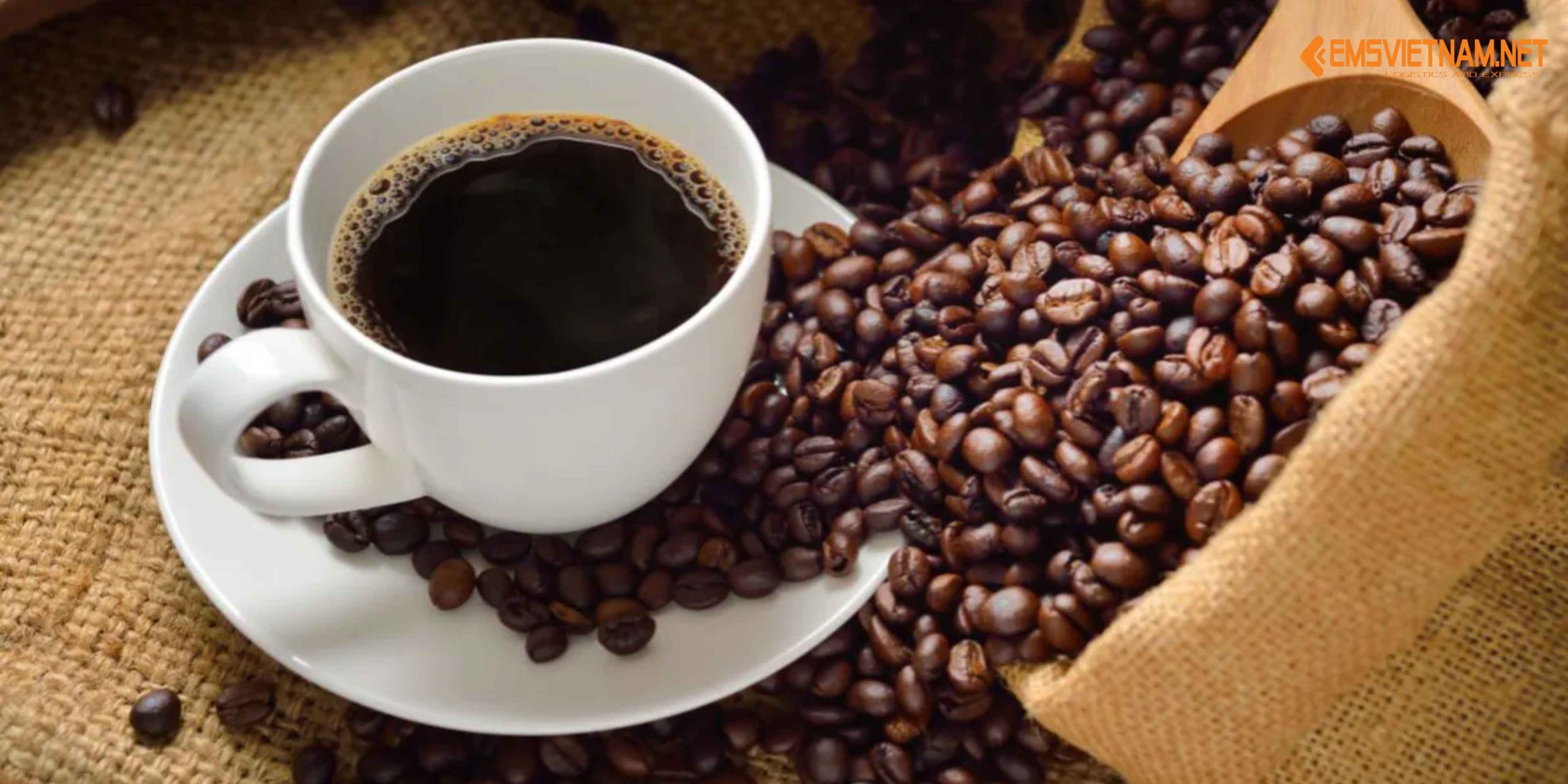 Gửi Cà Phê Việt Nam Đi Mỹ – Giữ Trọn Hương Vị Tươi Mới, Giao Nhanh An Toàn