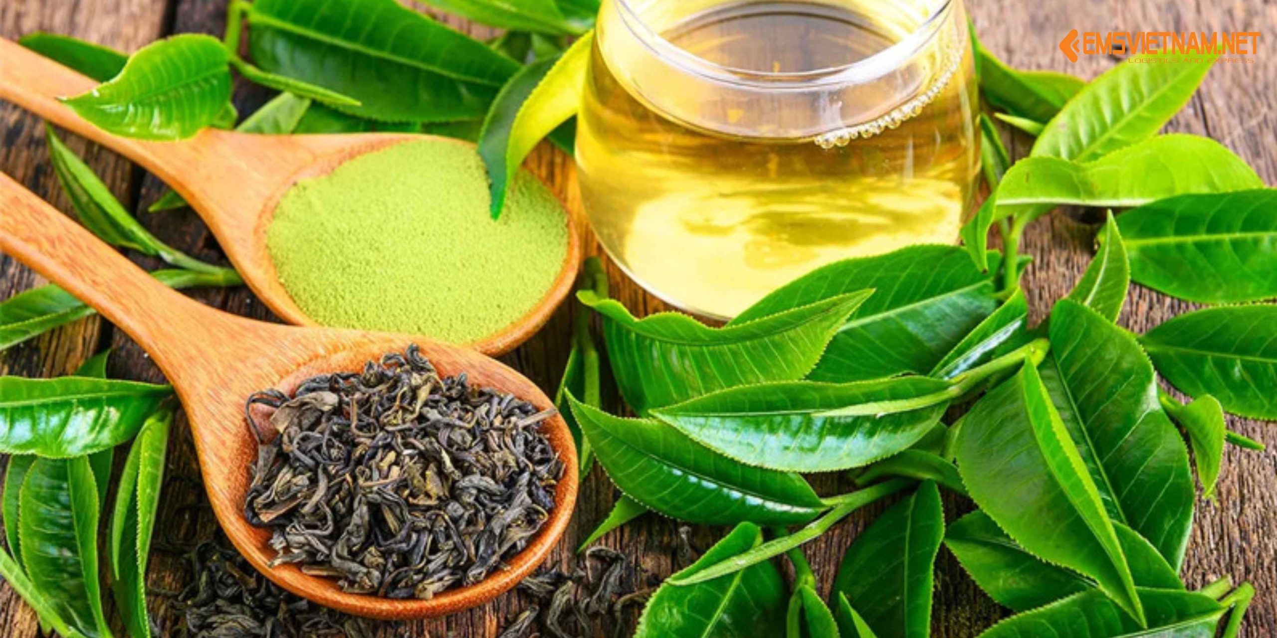 Gửi Trà Thái Nguyên Về Miền Nam – Giữ Trọn Hương Vị Tươi Ngon