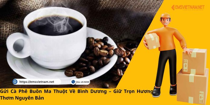Gửi Cà Phê Buôn Ma Thuột Về Bình Dương – Giữ Trọn Hương Thơm Nguyên Bản