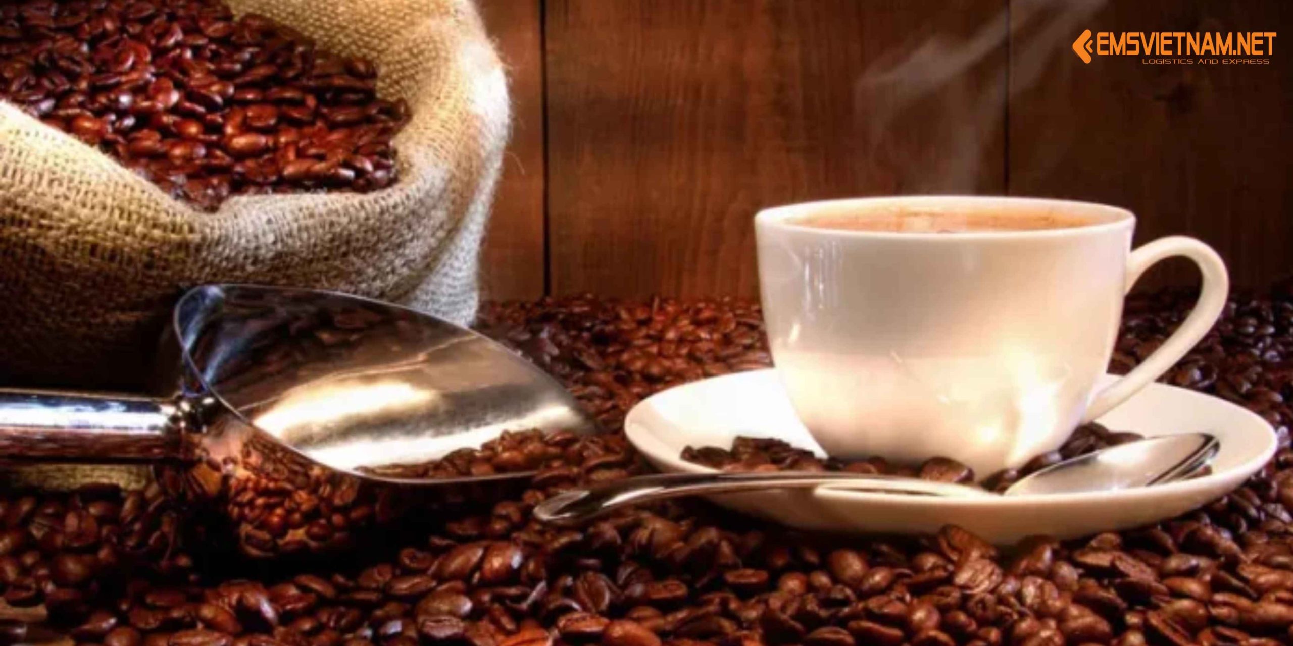 Gửi Cà Phê Buôn Ma Thuột Về Bình Dương – Giữ Trọn Hương Thơm Nguyên Bản