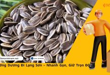 Gửi Hạt Hướng Dương Đi Lạng Sơn – Nhanh Gọn, Giữ Trọn Độ Giòn Gửi Hạt Hướng Dương Đi Lạng Sơn – Nhanh Gọn, Giữ Trọn Độ Giòn