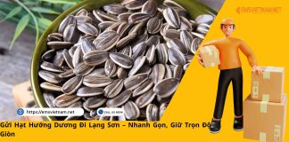 Gửi Hạt Hướng Dương Đi Lạng Sơn – Nhanh Gọn, Giữ Trọn Độ Giòn Gửi Hạt Hướng Dương Đi Lạng Sơn – Nhanh Gọn, Giữ Trọn Độ Giòn