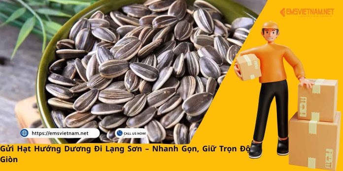 Gửi Hạt Hướng Dương Đi Lạng Sơn – Nhanh Gọn, Giữ Trọn Độ Giòn