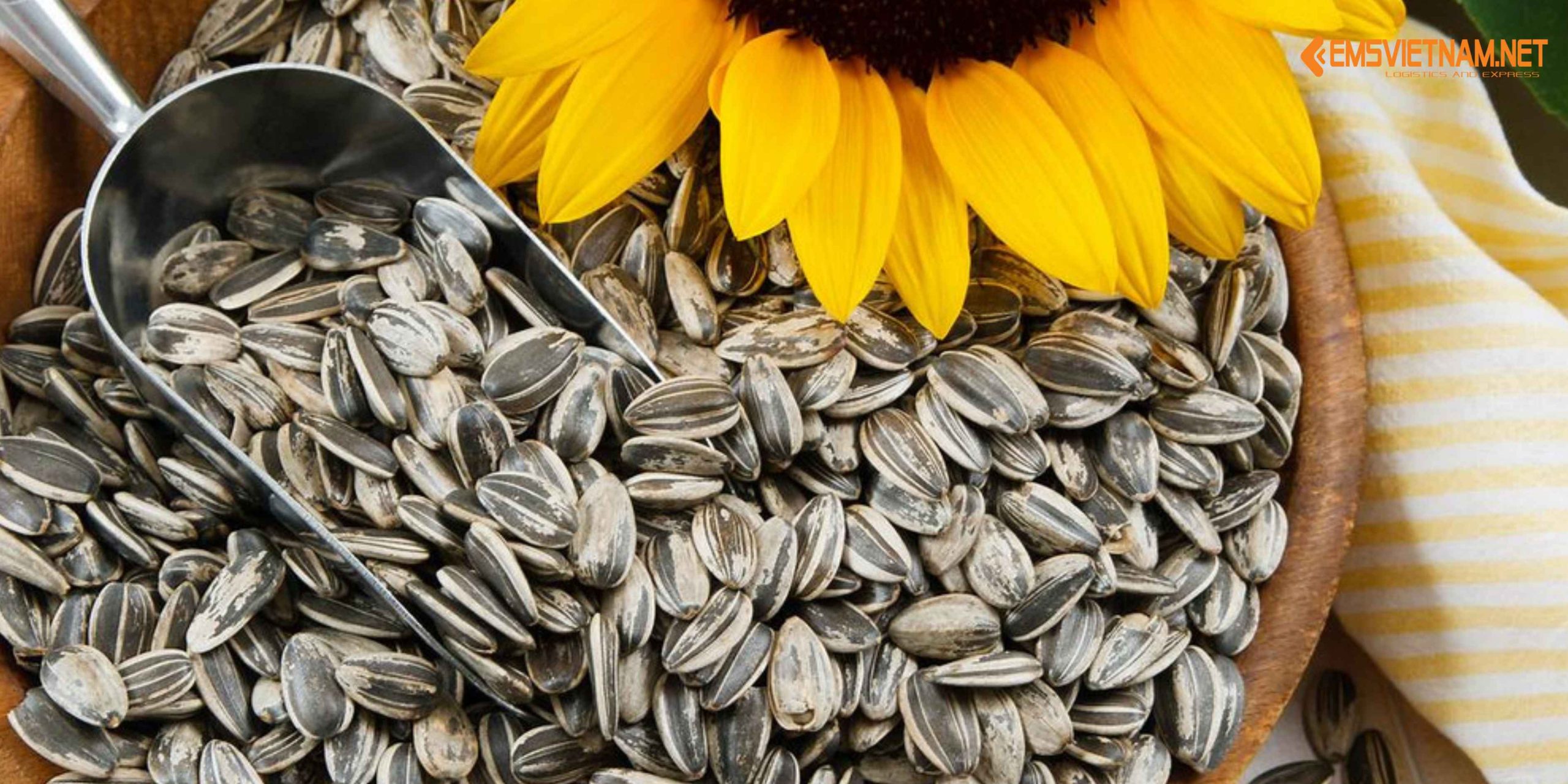 Gửi Hạt Hướng Dương Đi Lạng Sơn – Nhanh Gọn, Giữ Trọn Độ Giòn