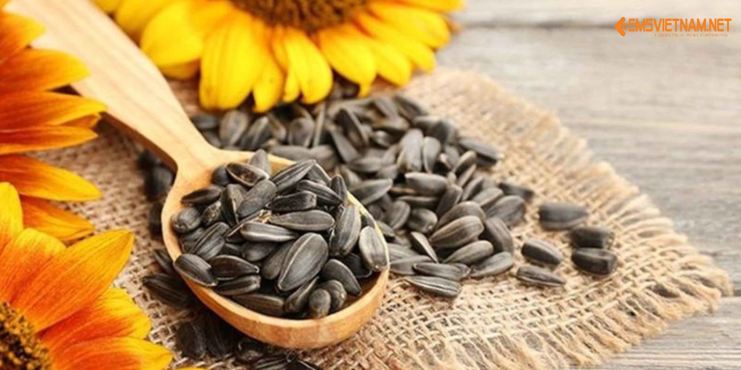 Gửi Hạt Hướng Dương Đi Lạng Sơn – Nhanh Gọn, Giữ Trọn Độ Giòn
