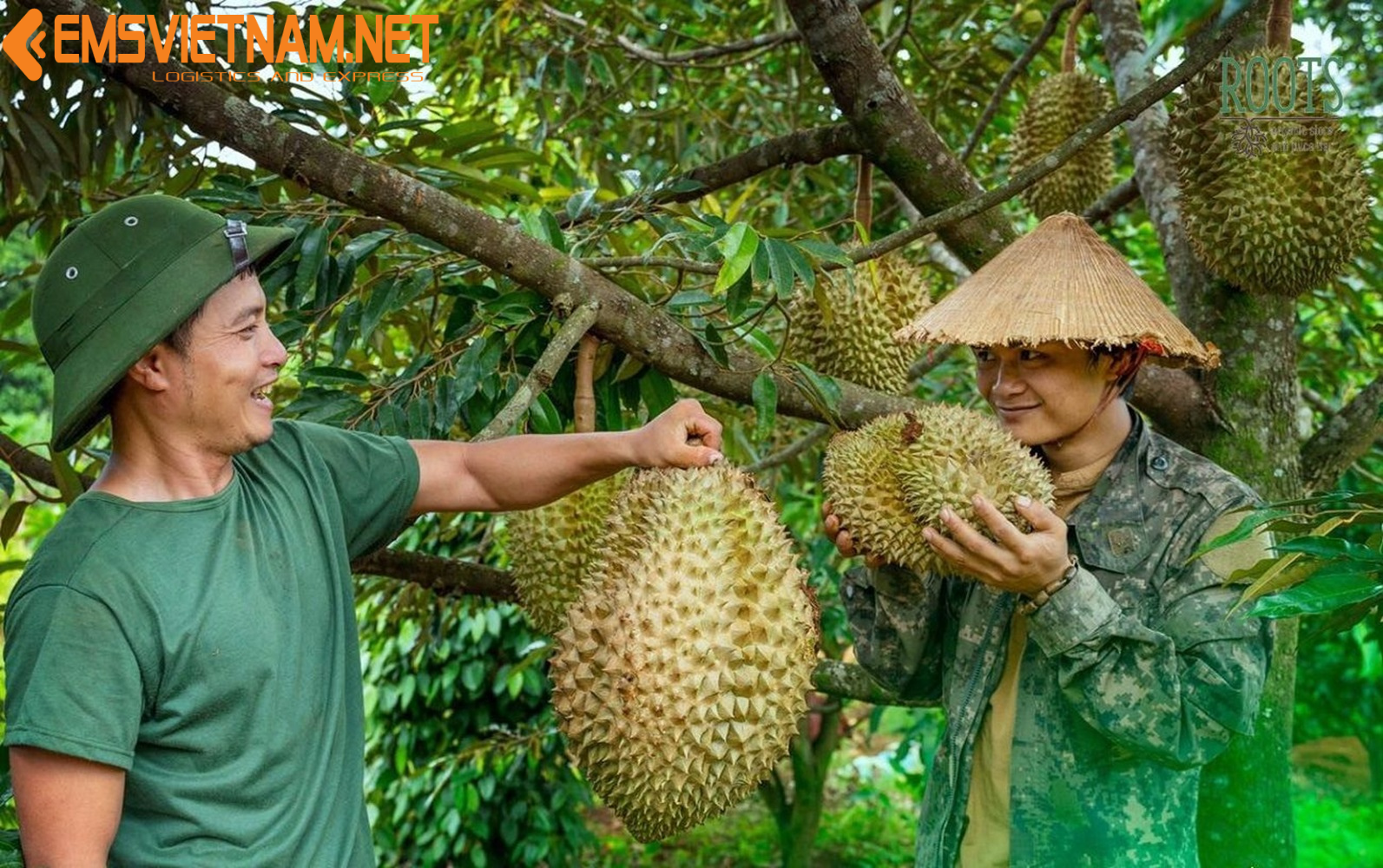 GỬI SẦU RIÊNG TỪ TP.HỒ CHÍ MINH ĐI HÀ NỘI - NHANH CHÓNG - TIẾT KIỆM