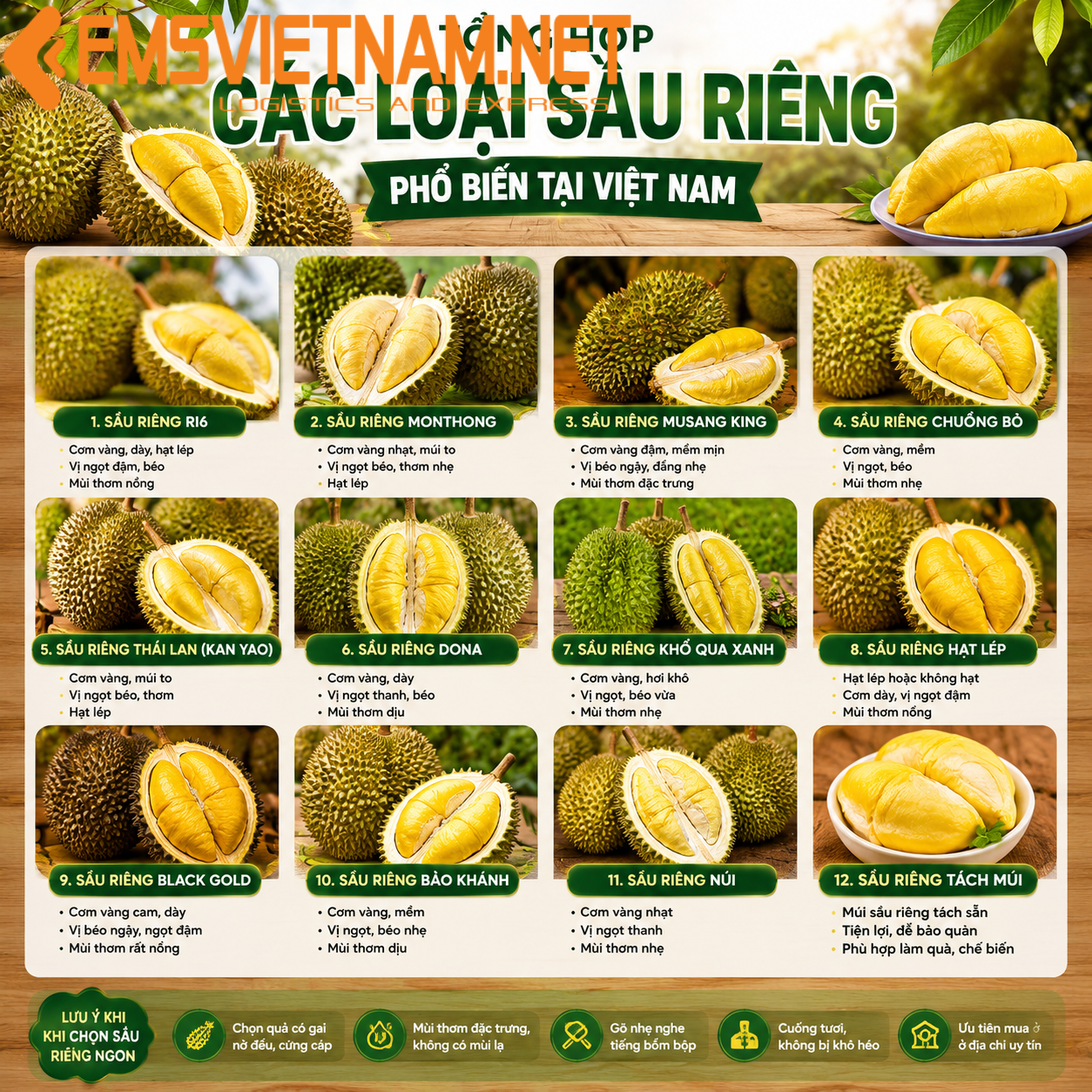 GỬI SẦU RIÊNG VIỆT NAM QUA ẤN ĐỘ - THỦ TỤC_CHỨNG TỪ DỄ DÀNG - AN TOÀN