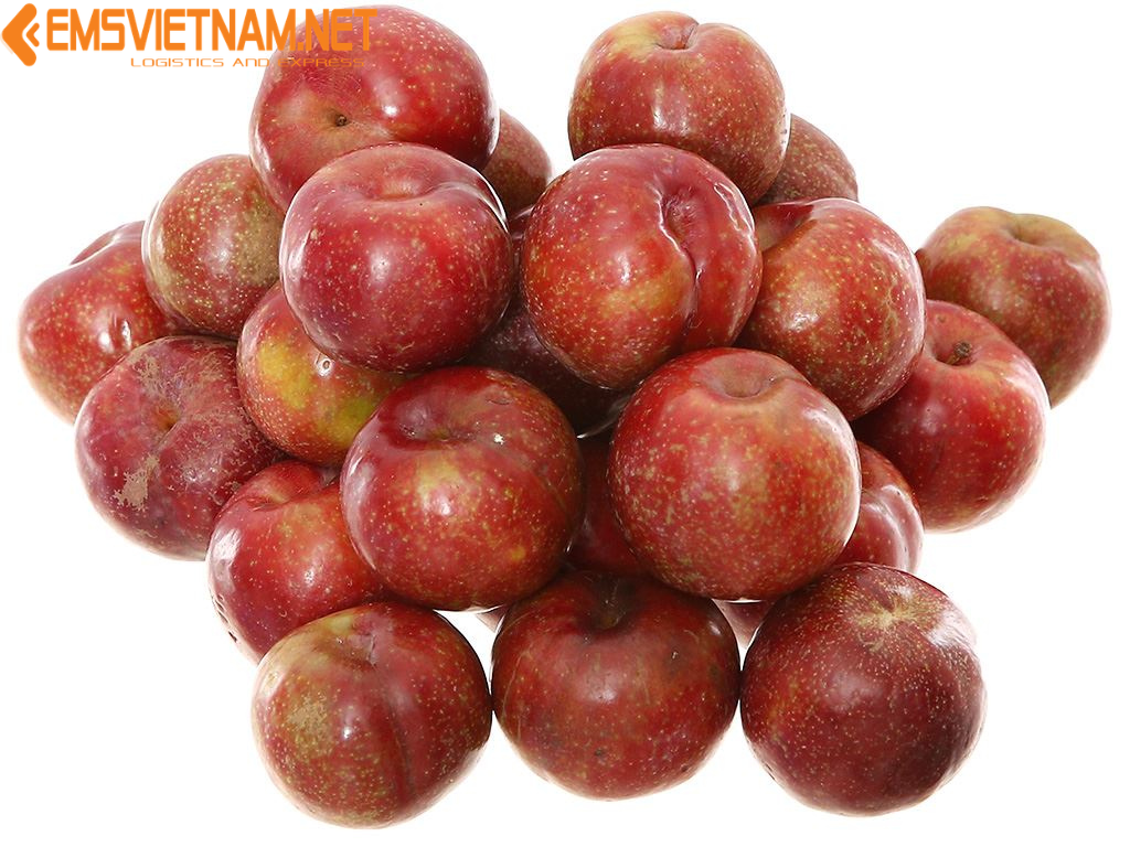 VẬN CHUYỂN MẬN BẮC TỪ HÀ NỘI VÀO MIỀN NAM BẰNG ĐƯỜNG SẮT - GIỮ ĐƯỢC ĐỘ TƯƠI CÙNG EMSVIETNAM.NET