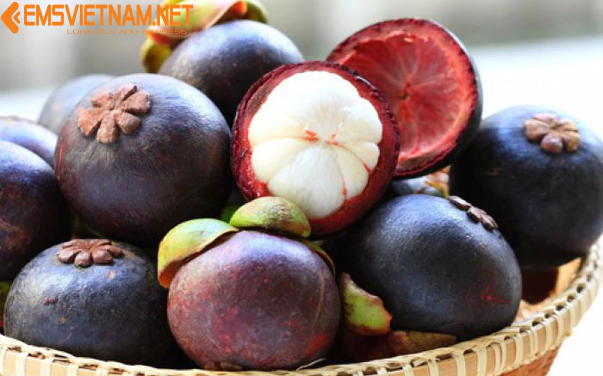 XUẤT KHẨU THANH LONG TỪ VIỆT NAM ĐI TRUNG QUỐC - GIỮ TRỌN ĐỘ TƯƠI