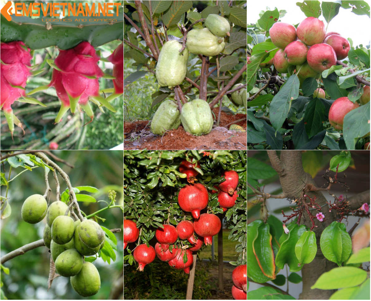 XUẤT KHẨU CAO SU TỰ NHIÊN QUA ẤN ĐỘ - THỦ TỤC DỄ DÀNG - NHANH CHÓNG