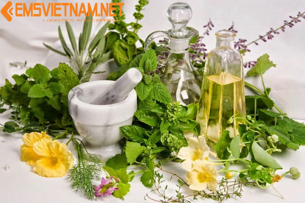 XUẤT KHẨU MỸ PHẨM THUẦN CHAY QUA HÀN QUỐC - THỦ TỤC CHỨNG TỪ NHANH GỌN - AN TOÀN