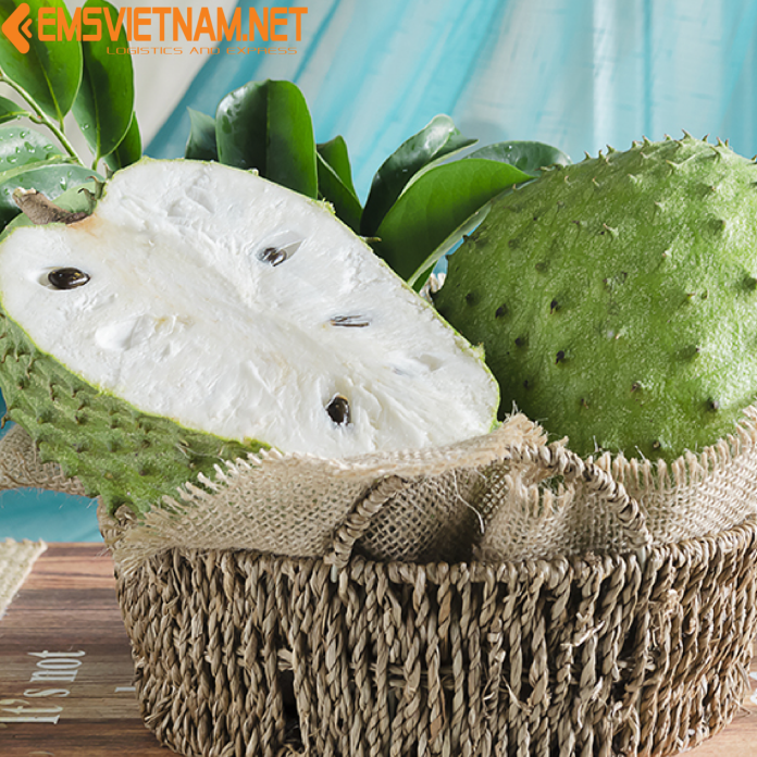 XUẤT KHẨU MÃNG CẦU Đi Philippines - THỦ TỤC DỄ DÀNG - NHANH GỌN