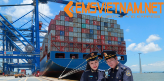 Kiến Thức Hải Quan Bưu Chính – Ưu Thế Của EMS KHAI BAO NỘI DUNG HÀNG HÓA KHI GỬI QUỐC TẾ