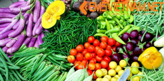 Gửi Thực Phẩm Khô, Nông Sản Từ Việt Nam sang Đài Loan CHUYỂN PHÁT NHANH THỰC PHẨM KHÔ TỪ VIỆT NAM SANG ĐÀI LOAN
