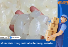 Gửi hạt đác đi các tỉnh trong nước nhanh chóng, an toàn
