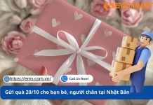 Gửi quà 20/10 cho bạn bè, người thân tại Nhật Bản