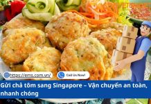 Gửi chả tôm sang Singapore – Vận chuyển an toàn, nhanh chóng