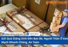 Gửi Quà Giáng Sinh Đến Bạn Bè, Người Thân Ở Đan Mạch Nhanh Chóng, An Toàn
