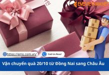 Vận chuyển quà 20/10 từ Đồng Nai sang Châu Âu