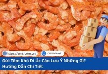 Gửi Tôm Khô Đi Úc Cần Lưu Ý Những Gì? Hướng Dẫn Chi Tiết