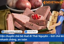 Vận chuyển chả bò Huế đi Thái Nguyên – Gửi chả bò nhanh chóng, an toàn