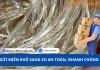 GỬI MIẾN KHÔ SANG EU AN TOÀN, NHANH CHÓNG