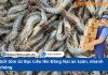 Gửi tôm từ Bạc Liêu lên Đồng Nai an toàn, nhanh chóng
