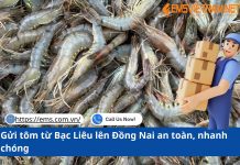 Gửi tôm từ Bạc Liêu lên Đồng Nai an toàn, nhanh chóng